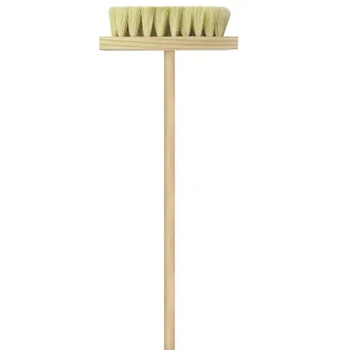 Cepillo de Ixtle.webp